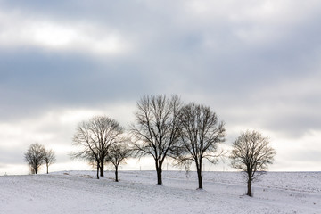 Snowy winter landscape with trees and cloudy sky