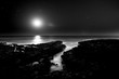 © simona - Ocean and coast black and white beautiful landscape with night stars and moonlight on the background