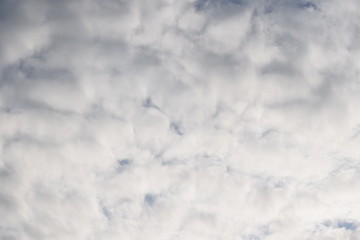 Wall Mural - Clouds