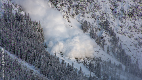 Cuadros en Lienzo Snow avalanche in the austrian alps.