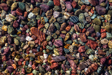 Colorful Rocks in a Glacier Lake during a sunny summer day. Taken in Lake McDonald, Glacier National Park, Montana, USA.