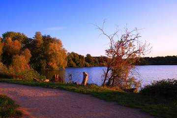 Country road by the lake at sunset. Autumn vegetation along the road.