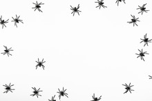 Halloween Decorations Concept. Halloween With Spiders On White Background. Flat Lay, Top View, Copy Space
