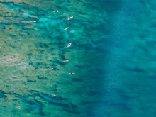 Pipeline Reef Oahu