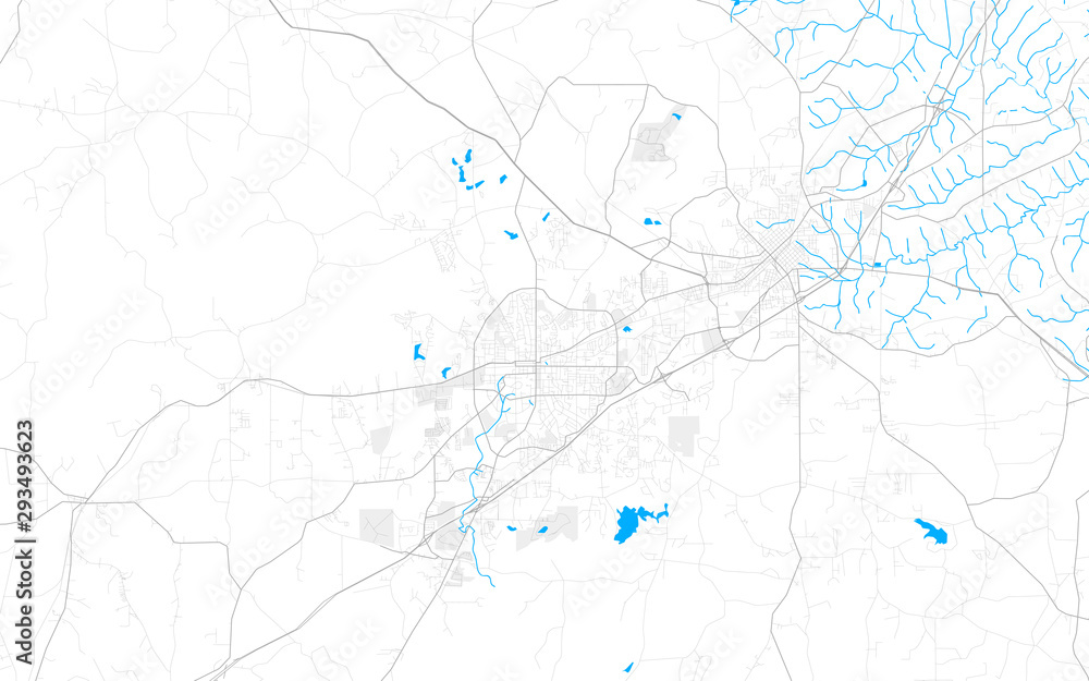 Rich detailed vector map of Auburn, Alabama, USA - obrazy, fototapety, plakaty 