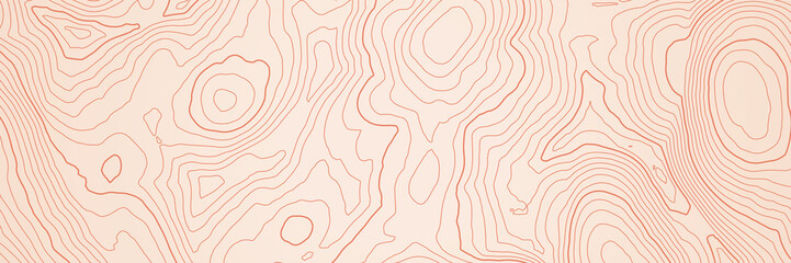 Fototapete - Abstract topographic map background with height lines