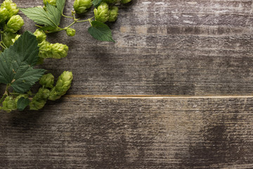 top view of green hop on wooden background