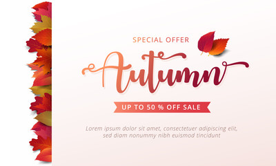 Wall Mural - Autumn sale banner layout template decorate with maple and realistic leaves in warm color tone for shopping sale or promotion poster, leaflet and web banner. Vector illustration .