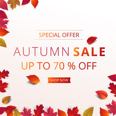 Wall Mural - Autumn sale banner layout template decorate with maple and realistic leaves in warm color tone for shopping sale or promotion poster, leaflet and web banner. Vector illustration .