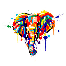 Elephant Color, Brush Strokes And Splashes, Elephant Face, Vector Illustration