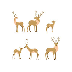 Wall Mural - Cartoon forest animal line icon. Cute animals icons set - deer, fallow deer, fawn. Childish vector print for nursery, kids apparel, poster, postcard, pattern.