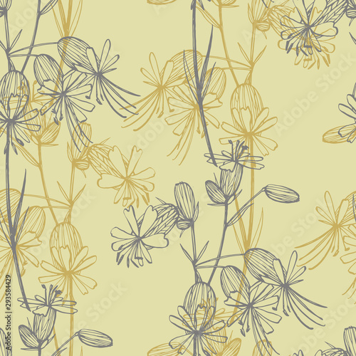 Bladder campion flowers. Set of drawing cornflowers, floral elements, hand dr...