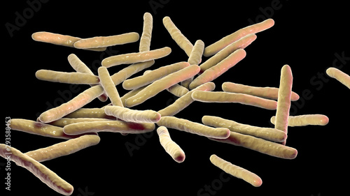 Cuadros en Lienzo Mycobacterium leprae bacteria, the causative agent of leprosy, 3D illustration