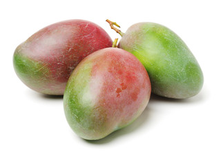 mangos on white background 