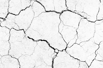 Wall Mural - White dried and cracked ground. erosion earth background. cracked dry wall surface. white natural cracked texture