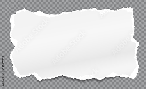 Cuadros en Lienzo Piece of torn, white realistic paper with soft shadow is on squared grey background
