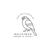 Fototapeta Młodzieżowe - Vector linear logo design bullfinch on white background. Bullfinch emblems or badges.