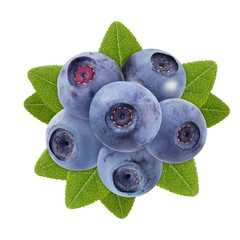 Wall Mural - bunch of blueberries isolated on a white background, top view.