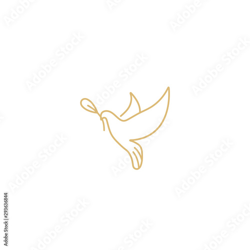 Fotografía Vector linear illustration dove holding olive branch