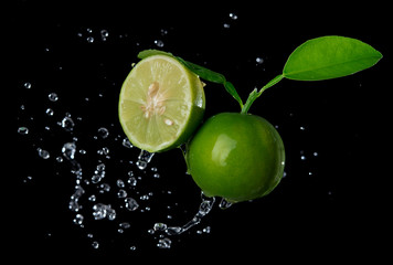 Wall Mural - Fresh lime with water splash flying in the air isolated on black background