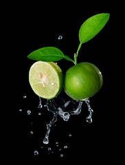 Wall Mural - Fresh lime with water splash flying in the air isolated on black background