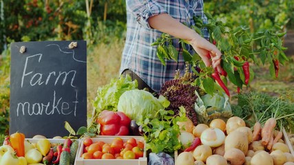 Wall Mural - The seller at the farmers market tears fresh pepper from a branch and puts it on the counter. Farm vegetables