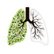 Human lungs Respiratory system. Healthy lungs. Light in the form of a tree. Line art. Drawing by hand. Medicine. - Vector graphics