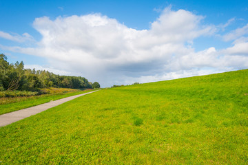 Green dike in a rural area below a blue cloudy sky in sunlight at fall 