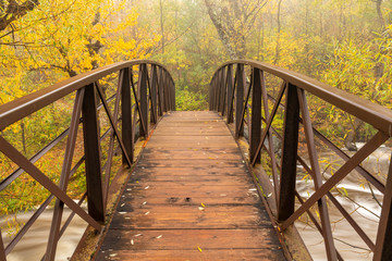 Wall Mural - A Footbridge Over A Creek In The Woods In Autumn