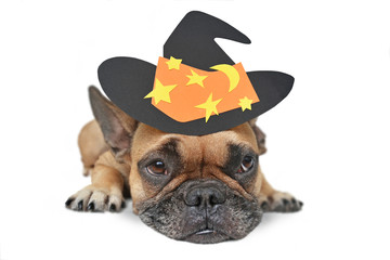 Wall Mural - Cute French Bulldog dog with big eyes wearing a black Halloween paper witch hat with stars lying down, isolated on white background