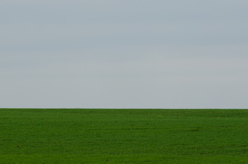 green agricultural field and sky in autumn