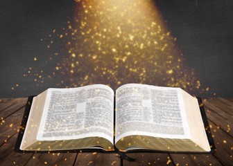 Wall Mural - opened big book isolated on white