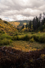 Wall Mural - Landscape view of the mountains in Vail, Colorado covered in fall foliage. 