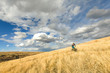 © Tandem Stock - One man mountain biking on singletrack trails outside of Boulder, Colorado.