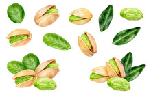 Pistachio Set Composition Watercolor Isolated On White Background