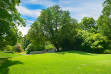 Picturesque Park With Large Trees