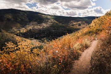 Wall Mural - A trail in Vail, Colorado during autumn. 