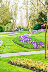 Wall Mural - Keukenhof park in Netherlands