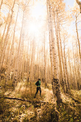 Wall Mural - A man and a dog hiking in the autumn woods. 