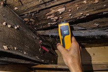 Indoor Damp & Air Quality (IAQ) Testing. A Closeup View Of A Digital Moisture Detector Showing Damp In Rotting Timber Floor Planks And Beams, Showing 17.5 Percent With Visible Lignicolous Fungi.