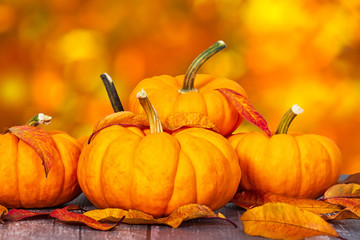Wall Mural - Mini pumpkins and autumn leaves. Beautiful autumn bokeh background.