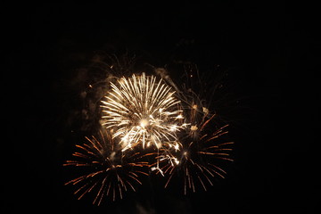 abstract colored firework background,fireworks light up the sky