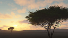 Lone Tree At Sunset