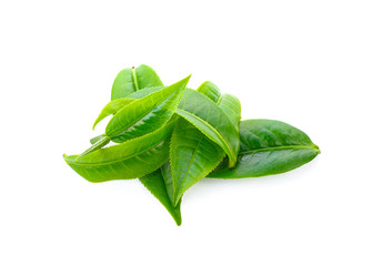 Wall Mural - fresh green tea leaf on white background