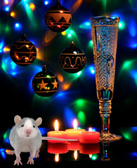 Wall Mural - rat - a symbol of 2020 new year on the Chinese calendar and a glass of champagne with candles