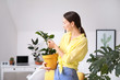 © Pixel-Shot - Young woman with beautiful houseplant in pot at home