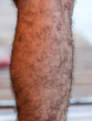 The hairy legs of a man