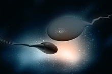 3d Illustration Showing Sperms And Egg