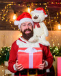 © be free - Happy holiday. happy new year. Xmas bear toy present. winter shopping sales. Cheerful elf. christmas gift delivery. bearded man santa hat. bearded santa deliver presents. Christmas shopping
