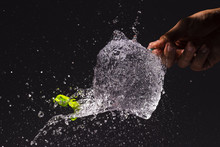 Close-up Person Popping A Water Balloon